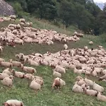 Ξενοδοχείο Aiguille Noire